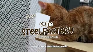 กรงแมวจากเหล็กเจาะรูกลมจีน | โปร่ง โล่ง ปลอดภัย ทาสแมวต้องมี! กรงแมวจากเหล็กเจาะรูกลมจีน | โปร่ง โล่ง ปลอดภัย ทาสแมวต้องมี!
