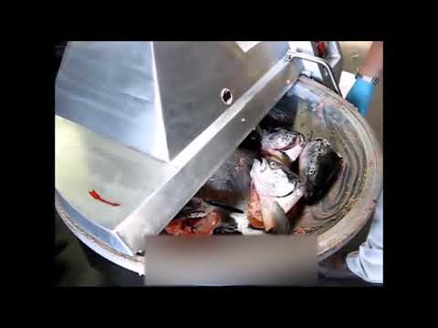 CUTTER CARNE, PESTE, LEGUME, FRUCTE -30 LITRI