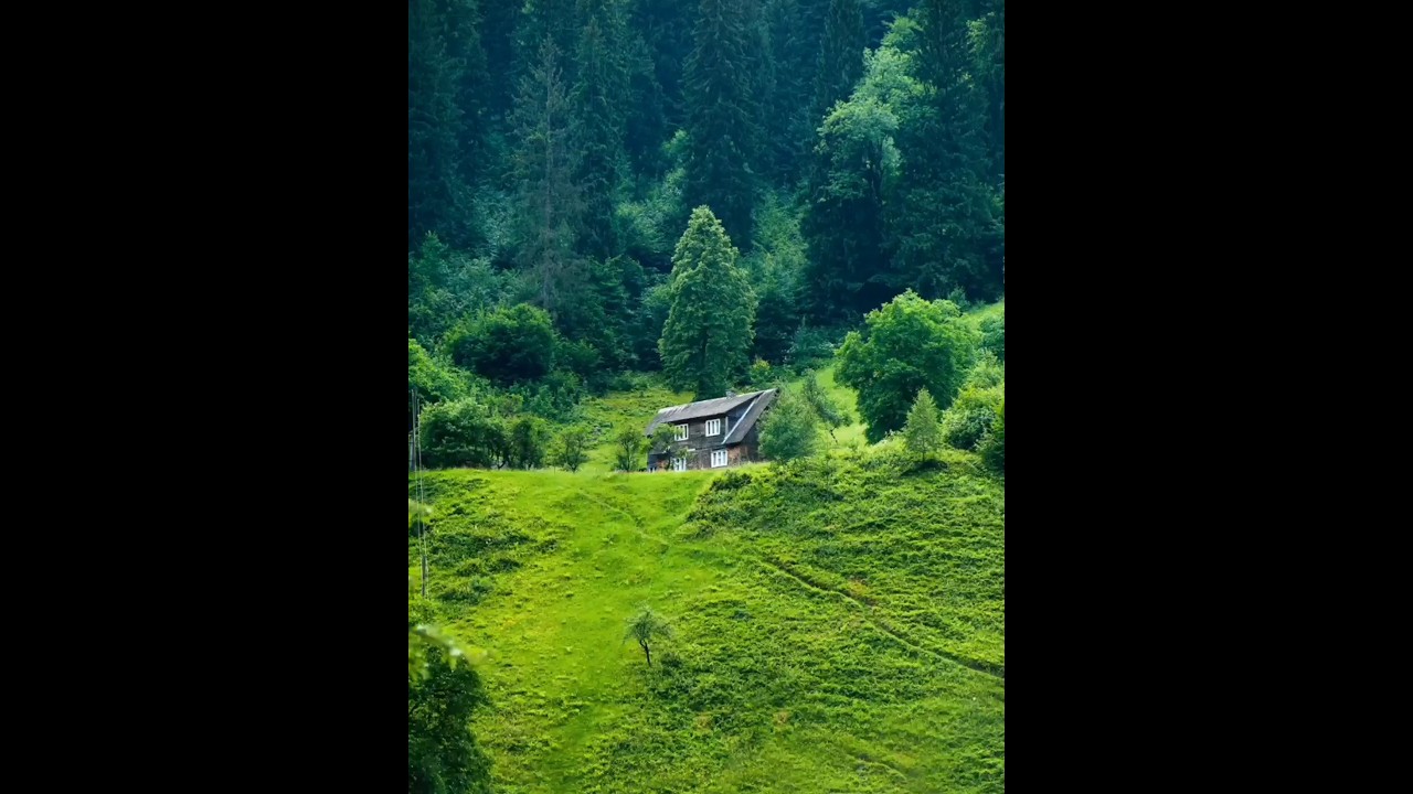 NATURE VIDEO 4K #nature #natural #4k #4kvideo