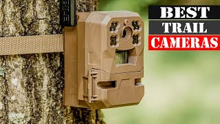 The 5 Best Trail Cameras 2026