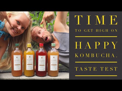 download lagu mp3 mp4 Happy Booch Kombucha Online, download lagu Happy Booch Kombucha Online gratis, unduh video klip Happy Booch Kombucha Online