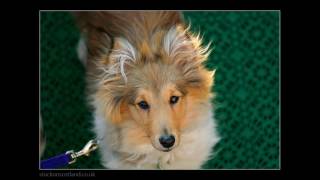 Capercaillie   Outlaws