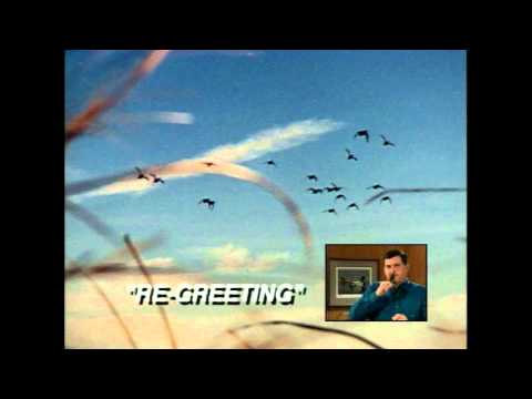 https://www.youtube.com/embed/3WP8w6sdxe8