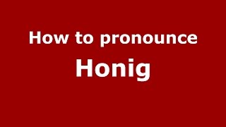 How to pronounce Honig