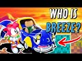 The Breeze Story The Weirdest Sonic Character
