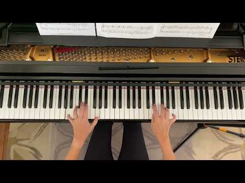 Black Cat Scherzo by Melody Bober