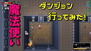 新作【ローグヒーローズ/Rogue Heroesテイソスの遺跡】魔法使いでテラカールのボス討伐！【ゲーム実況】Switch版
