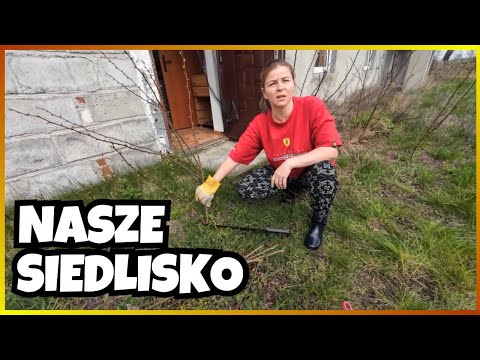 Nie zaglądaliśmy na Siedlisko przez 2 lata! - To co Zastaliśmy Zaskoczyło nas Pozytywnie!