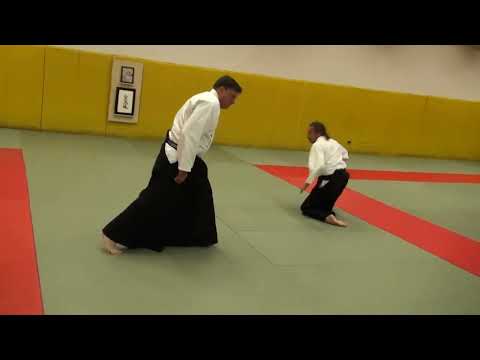 Aikido - Tony Hind Shihan in Winnipeg - Day 1 Highlights