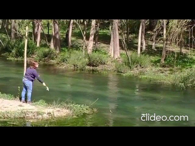 Vídeo relacionado con La arboleda perdida, 2. Tercero y cuarto libros (1931-1987) (El libro de bolsillo - Bibliotecas de autor - Biblioteca Alberti)