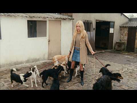 Brigitte Bardot: Legacy of an Icon