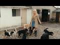 Brigitte Bardot Legacy Of An Icon