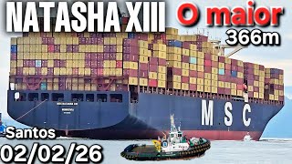 O maior navio de conteiner 02/02/26 Santos MSC NATASHA XIII ⁨@navios2025  biggest navio saindo