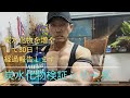 バルクアップ検証シリーズ!炭水化物を増やして30日。太らず筋肥大してきた。#筋トレ #スポーツ #ダイエット
