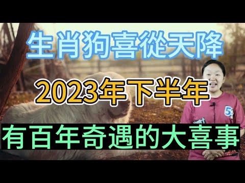2023屬狗佩戴生肖