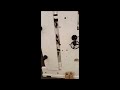 Riproduci video