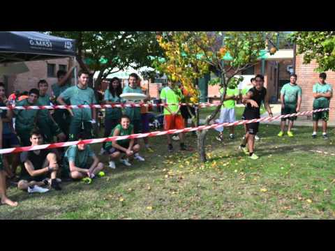 Welcome to the Jungle, 50° Masi