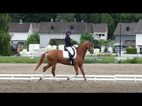 Trine og Kenji - FEI 5-års Finaleprogram