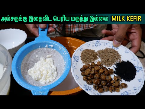 How can you make bigger milk kefir grains - how to filter kefir grains - Milk Kefir & Coconut Kefir