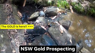 Don't walk past The Big Rocks! Telltale signs you're on the payline! || Prospecting NSW