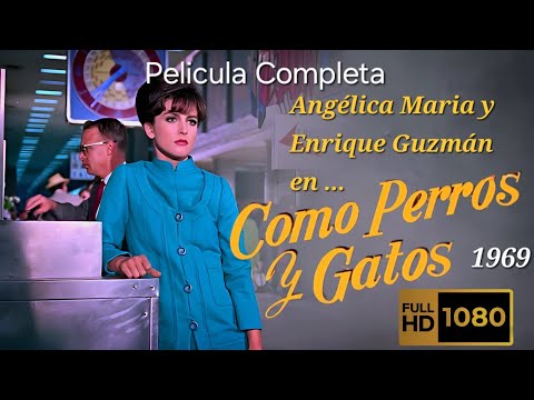 Como Perros y Gatos 1969 / Película Completa FullHD.