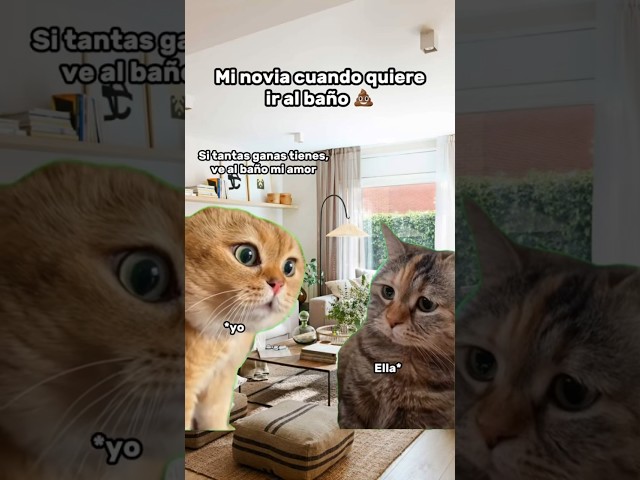 Vídeo relacionado con Eoixuqba Decoración De Escritorio De Gato | Figura Divertida De Pareja De Gatos Bidimensional Decoración De Mesa - De Mesa Animal Para Regalar En Navidad Cumpleaños San Valentín Dormitorio