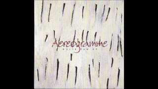 Aereogramme - The Art of Belief
