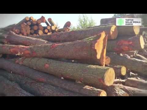 Drewno kominkowe czy węgiel – Gniechowice