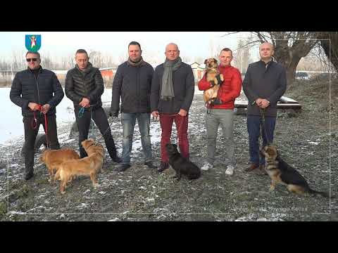 Apel radnych do prezydenta