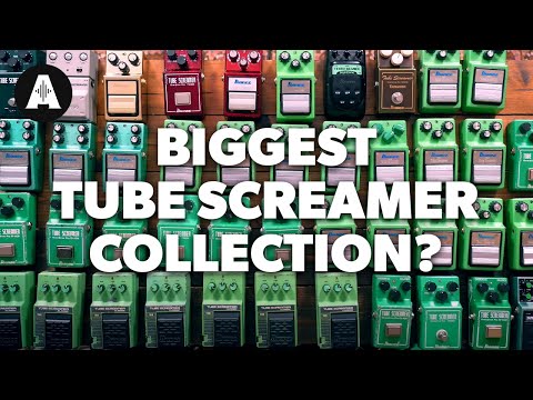 Have you EVER seen this many Tube Screamers?? (And how different do they actually sound?)