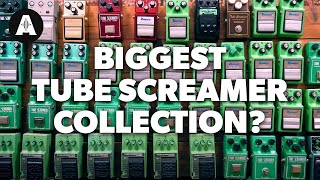 Download lagu Have you EVER seen this many Tube Screamers... mp3