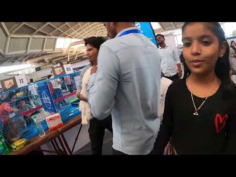 CAT SHOW AT VASHI EXHIBITION CENTRE 22052022