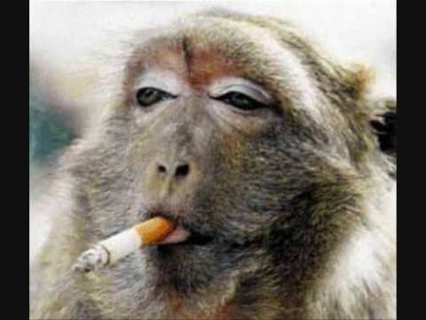 Boldinho é na Providencia (Lula proibidão) - MC G3, MC Frank, MC Sabrina