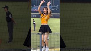 【 Passion Sisters 】#汶汶#小迪（我的兄弟）#台湾チアリーディングチーム#中華職棒#CPBL#洲際棒球場#20240828