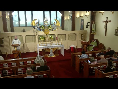 Daily Readings and Homily - 2025-09-28 - Fr. Matthew