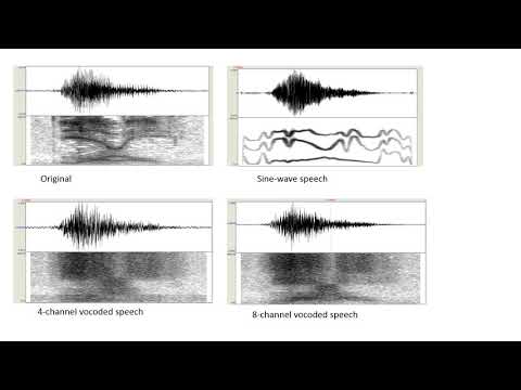 Yanny vs. Laurel in sine-wave and vocoded speech
