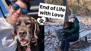 5 End-of-Life Tips That Made Saying Goodbye to My Dog More Peaceful 💔