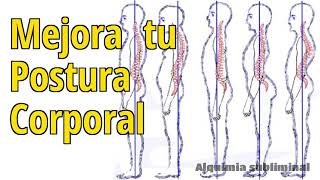 Mejora tu Postura Corporal