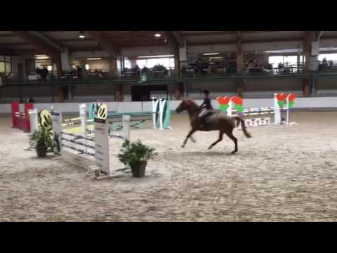 Kalinka vd zwartbleshoeve