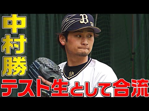youtube動画