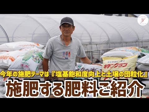 イチゴの肥料はいつ、どのように与えるのですか？一番良い肥料は何でしょうか？  庭園