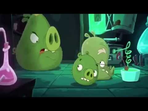 Angry Birds Toons Full Episodes Bearded Ambition