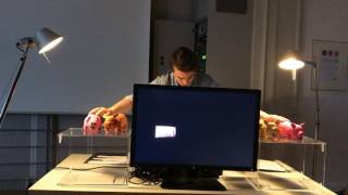 Benjamin Scheuer  - Schweineorgel