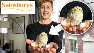 I HATCHED A SUPERMARKET EGG ! video