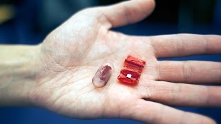 Ingestible origami robot