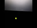 Opening To Sherlock Undercover Dog 1995 VHS