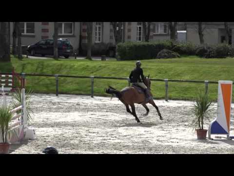 Amant du Chateau - 6 ans Qualification au chronomètre Saint-Lô