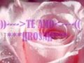 Como duele tu adios Grupo bryndis
