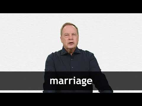 MARRIAGE WEBSTER DICTIONARY visual data 5