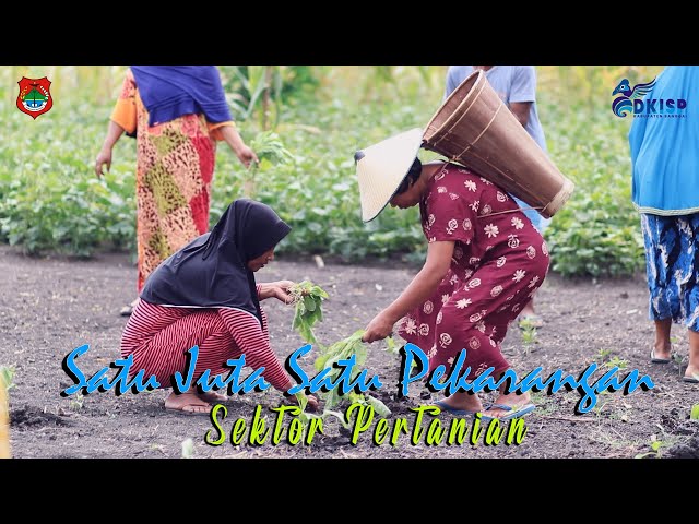 Program 1 Juta 1 Pekarangan Sektor Pertanian